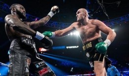 拳王维尔德爆料图解视频,图解震撼拳击技巧与策略